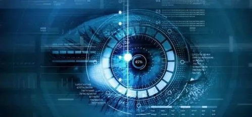 自媒体成功之路 技术开发领域的经历、经验与方法论